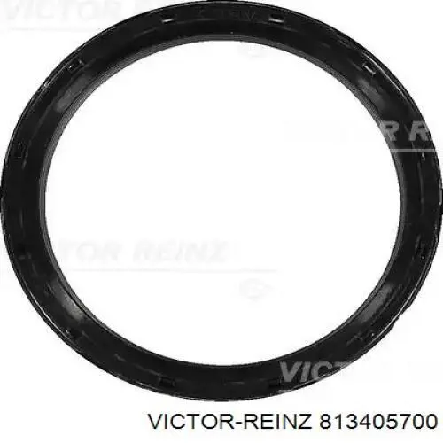 813405700 Victor Reinz Vedação dianteira de cambota de motor