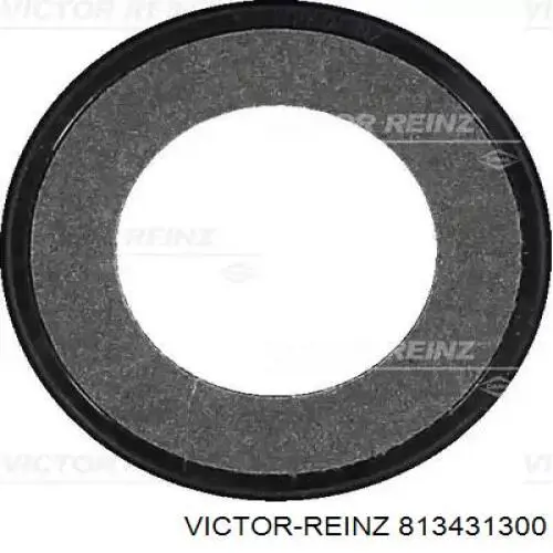 813431300 Victor Reinz Vedação dianteira de cambota de motor