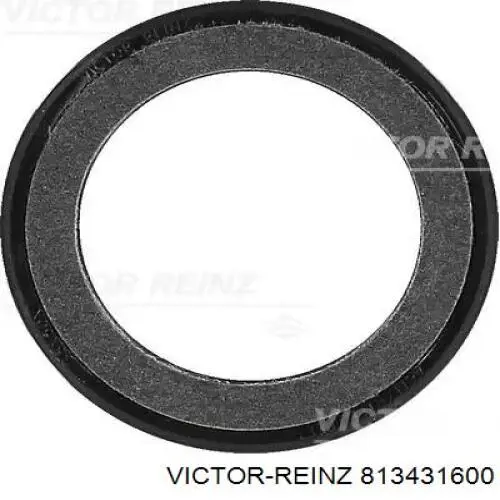 813431600 Victor Reinz Vedação dianteira de cambota de motor