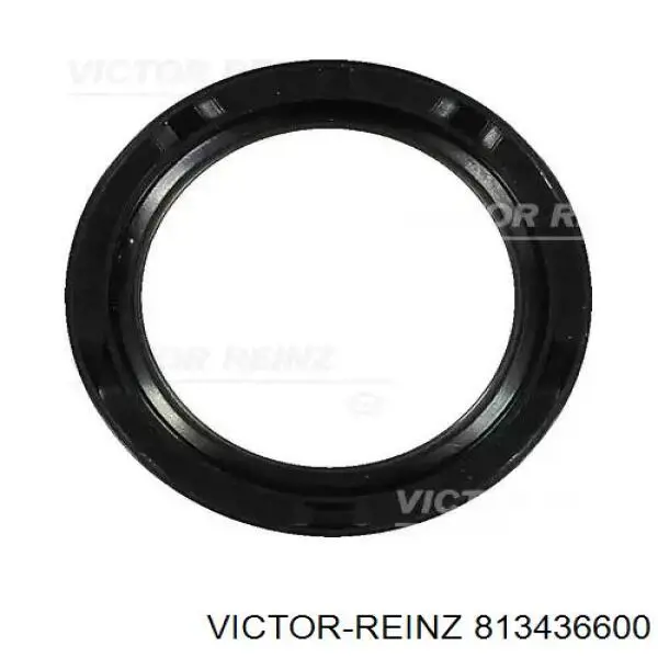 813436600 Victor Reinz Vedação dianteira de cambota de motor