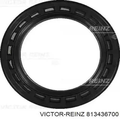 813436700 Victor Reinz Vedação da árvore distribuidora de motor
