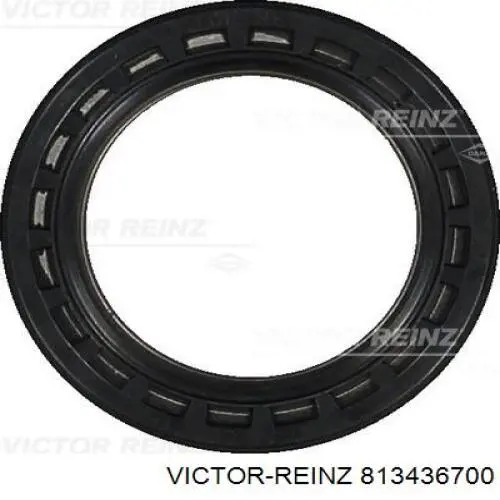Compre 813436700 Victor Reinz Vedação da árvore distribuidora de motor