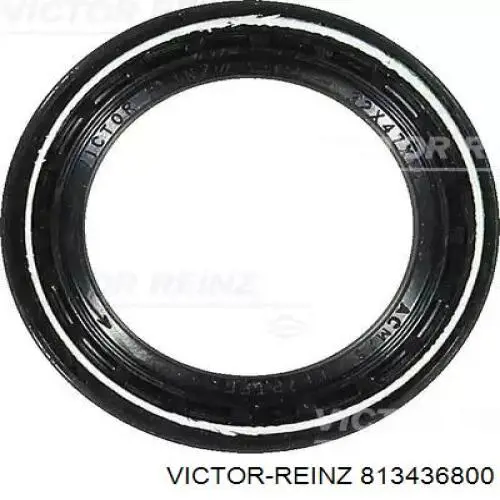 813436800 Victor Reinz Vedação traseira da árvore distribuidora de motor