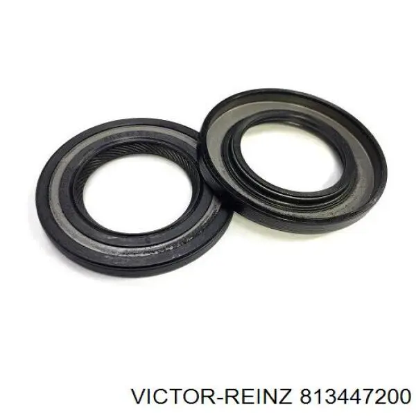 813447200 Victor Reinz Vedação da árvore distribuidora de motor