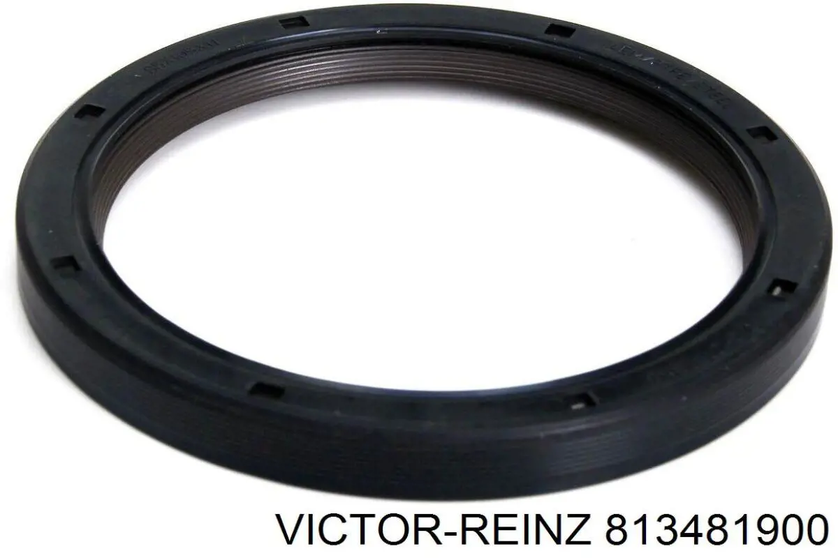 813481900 Victor Reinz Vedação traseira de cambota de motor