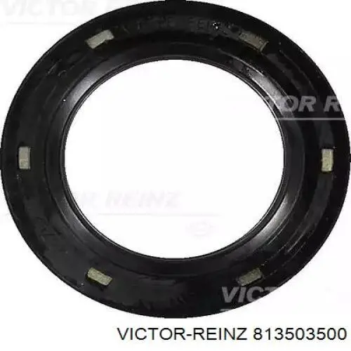 813503500 Victor Reinz Vedação dianteira de cambota de motor