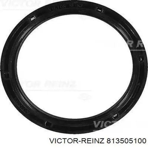 813505100 Victor Reinz Vedação traseira de cambota de motor