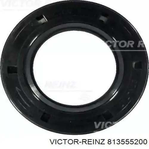 813555200 Victor Reinz Vedação da árvore distribuidora de motor