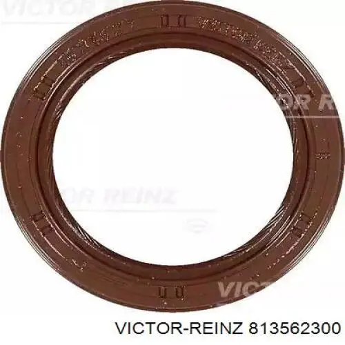 813562300 Victor Reinz Vedação da árvore distribuidora de motor