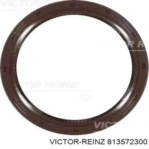 813572300 Victor Reinz Vedação da árvore distribuidora de motor