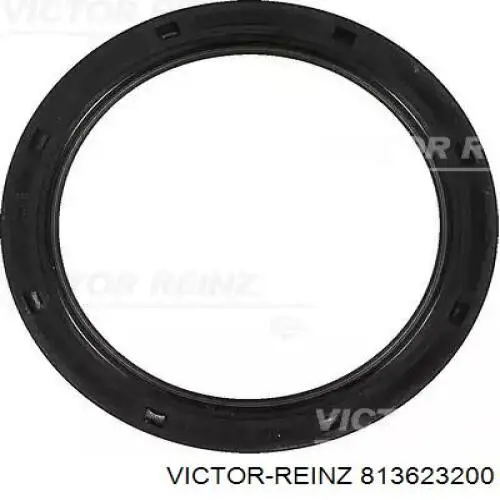 813623200 Victor Reinz Vedação traseira de cambota de motor