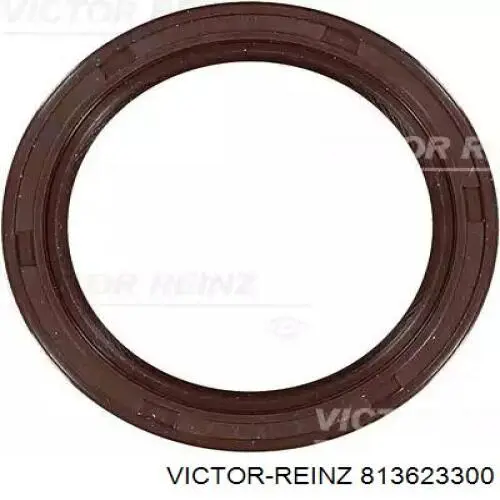 813623300 Victor Reinz Vedação dianteira de cambota de motor