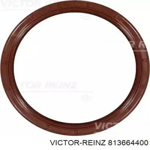813664400 Victor Reinz Vedação traseira de cambota de motor
