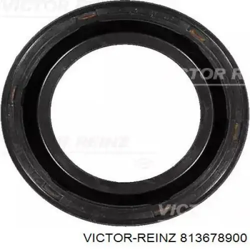 813678900 Victor Reinz Vedação da árvore distribuidora de motor
