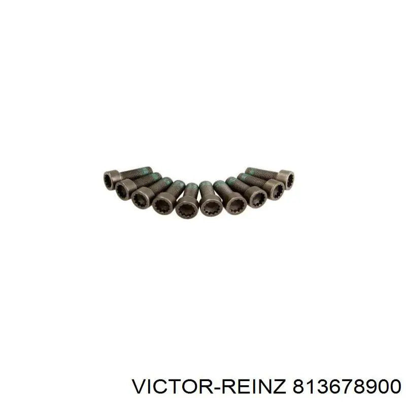 Compre 813678900 Victor Reinz Vedação da árvore distribuidora de motor