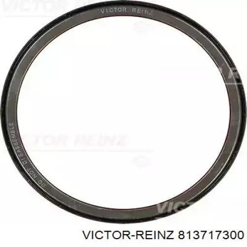 813717300 Victor Reinz Vedação traseira de cambota de motor
