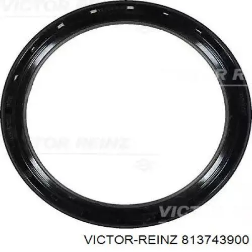 813743900 Victor Reinz Vedação traseira de cambota de motor