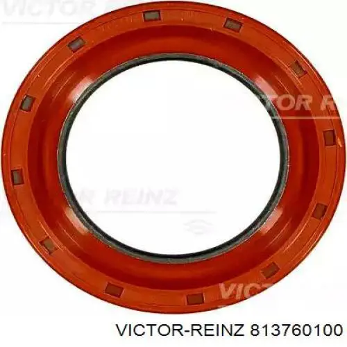 813760100 Victor Reinz Vedação dianteira de cambota de motor