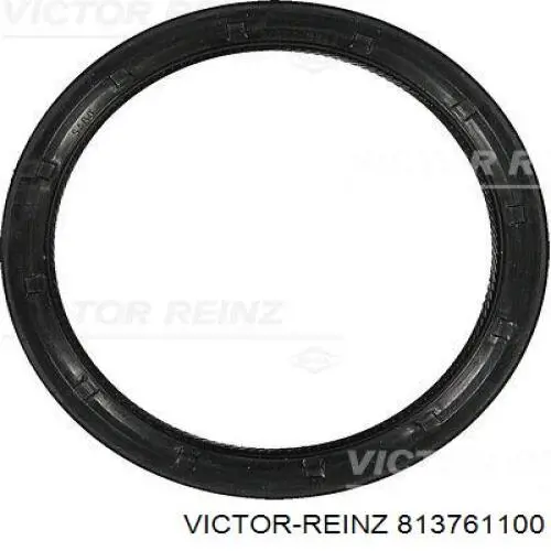 Compre 813761100 Victor Reinz Vedação traseira de cambota de motor