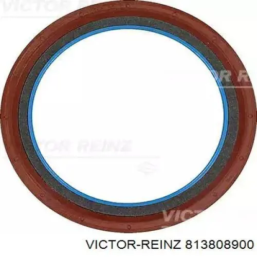 813808900 Victor Reinz Vedação traseira de cambota de motor