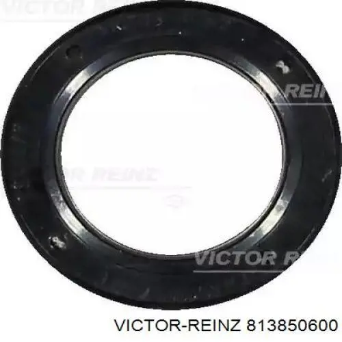 813850600 Victor Reinz Vedação da árvore distribuidora de motor