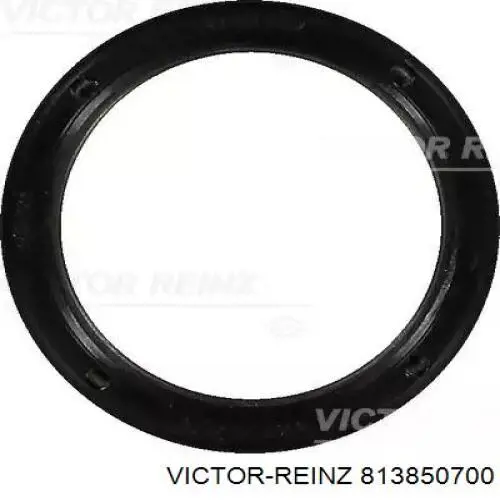 813850700 Victor Reinz Vedação da árvore distribuidora de motor