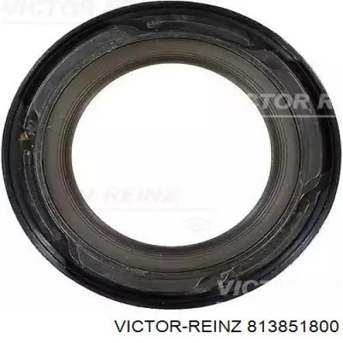 813851800 Victor Reinz Vedação dianteira de cambota de motor