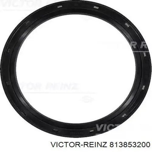 813853200 Victor Reinz Vedação traseira de cambota de motor