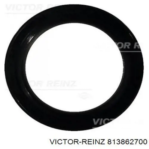 813862700 Victor Reinz Vedação da árvore distribuidora de motor