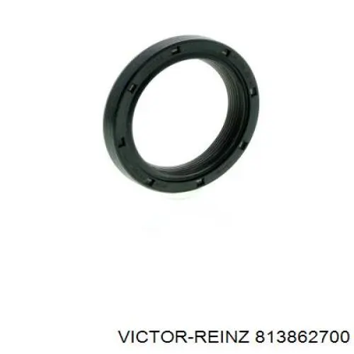 Vedação da árvore distribuidora de motor Victor Reinz 813862700 preço, a partir de 17,62 USD