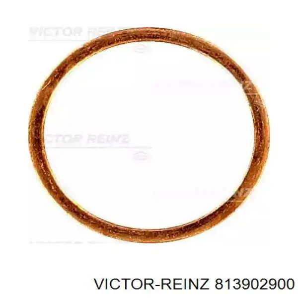 Cadeia do mecanismo de distribuição de gás Victor Reinz 813902900 preço, a partir de 11,30 USD