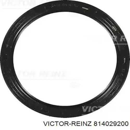 814029200 Victor Reinz Vedação traseira de cambota de motor