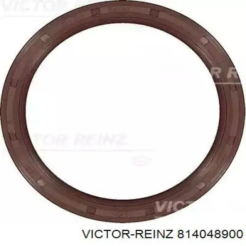 814048900 Victor Reinz Vedação traseira de cambota de motor