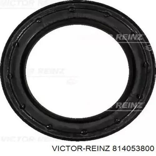 814053800 Victor Reinz Vedação da árvore distribuidora de motor