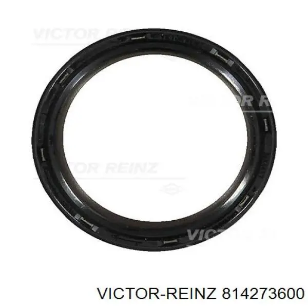 814273600 Victor Reinz Vedação dianteira da árvore distribuidora de motor