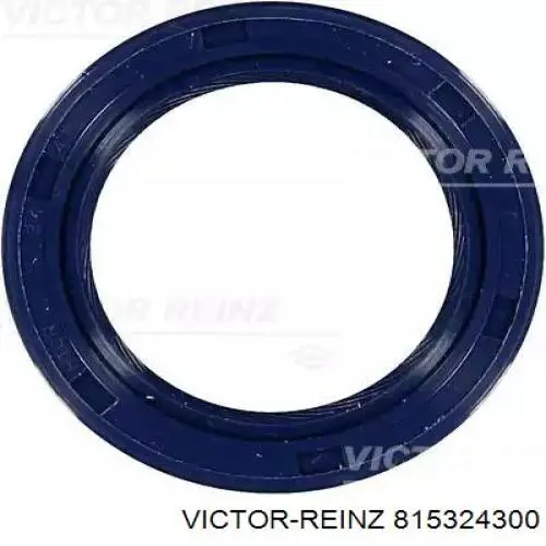 815324300 Victor Reinz Vedação dianteira da árvore distribuidora de motor