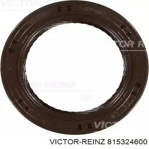 815324600 Victor Reinz Vedação da árvore distribuidora de motor