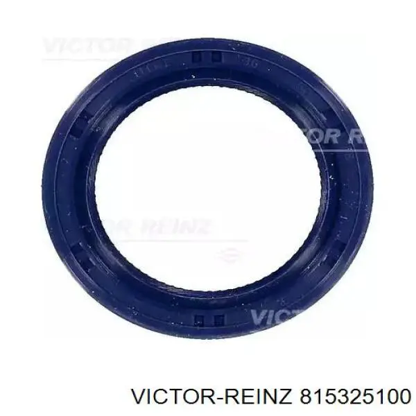 815325100 Victor Reinz Vedação da árvore distribuidora de motor