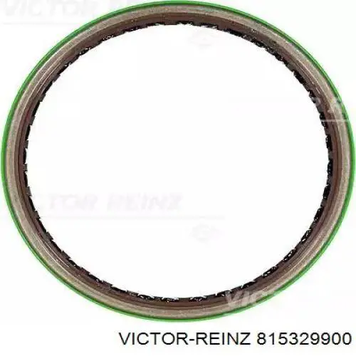 815329900 Victor Reinz Vedação traseira de cambota de motor