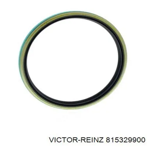 Compre 815329900 Victor Reinz Vedação traseira de cambota de motor