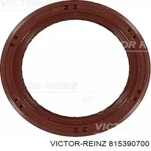 815390700 Victor Reinz Vedação dianteira de cambota de motor