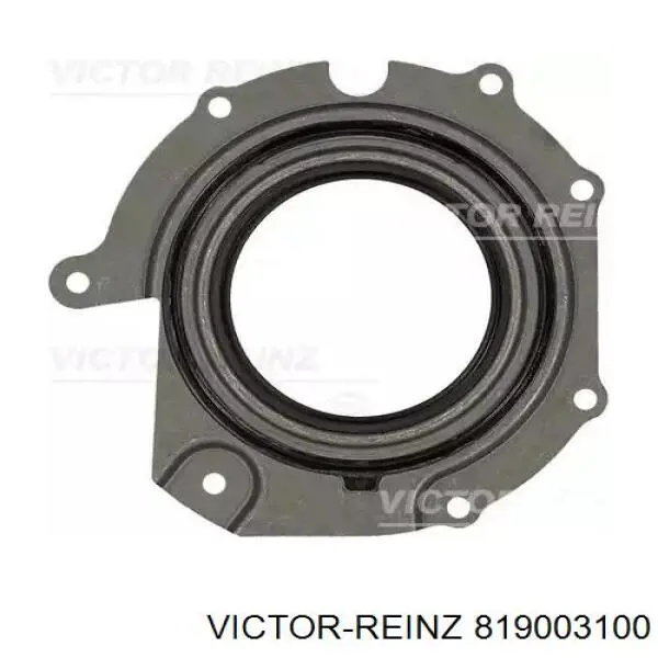 819003100 Victor Reinz Vedante dianteiro de tampa de motor, bucim da Bomba de Combustível de Pressão Alta