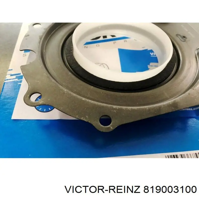 Compre 819003100 Victor Reinz Vedante dianteiro de tampa de motor, bucim da Bomba de Combustível de Pressão Alta