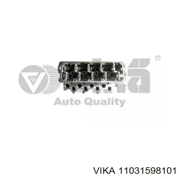 Compre 11031598101 Vika Cabeça de motor (CBC)