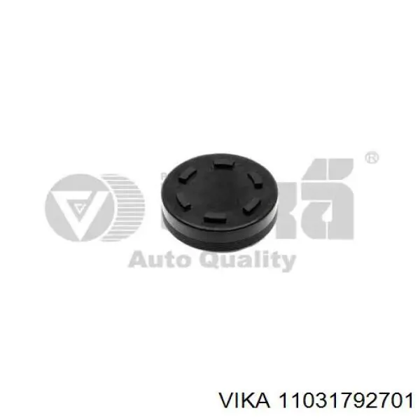 Compre 11031792701 Vika Tampão CBC/do bloco de cilindros