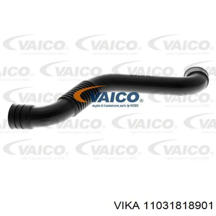 11031818901 Vika Cano derivado de ventilação de cárter (de separador de óleo)