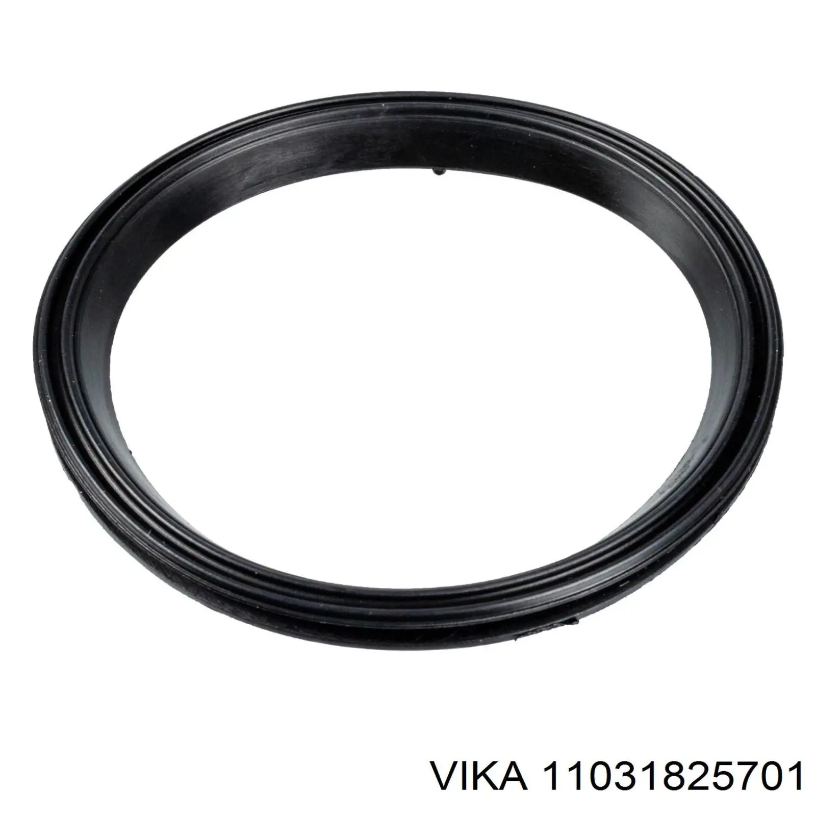 Vedante de tampa dianteira de motor Borsehung B10629 preço, a partir de 9,91 USD