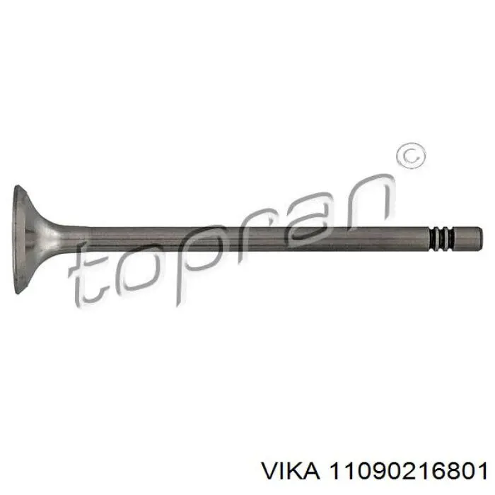 11090216801 Vika Válvula de escape