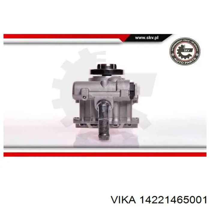 Compre 14221465001 Vika Bomba da Direção hidrâulica assistida