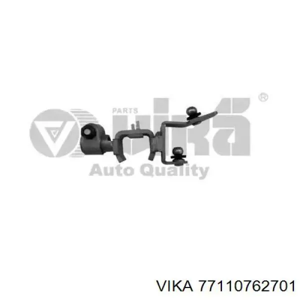 77110762701 Vika 